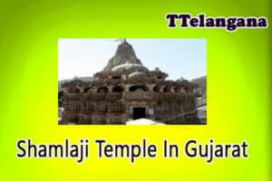 Shamlaji Temple In Gujarat
