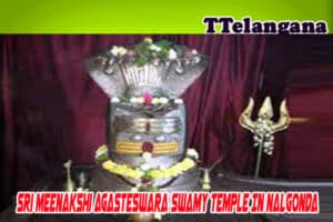 Sri Meenakshi Agasteswara Swamy Temple In Nalgonda