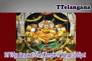 Sri Vidya Saraswati Shani Temple In Wargal Siddipet