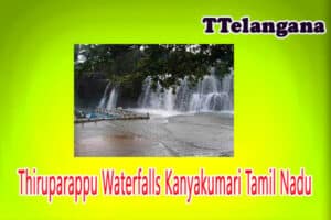 Thiruparappu Waterfalls Kanyakumari Tamil Nadu