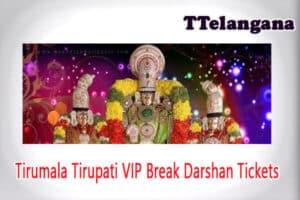 Tirumala Tirupati VIP Break Darshan Tickets