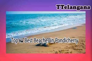 Top 10 Best Beaches in Pondicherry