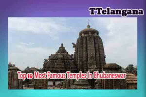 Top 10 Most Famous Temples In Bhubaneswar