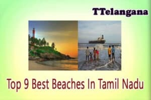 Top 9 Best Beaches In Tamil Nadu