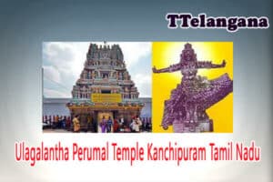 Ulagalantha Perumal Temple Kanchipuram Tamil Nadu
