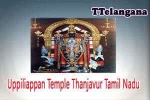 Uppiliappan Temple In Thanjavur Tamil Nadu