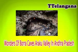 Wonders Of Borra Caves Araku Valley In Andhra Pradesh