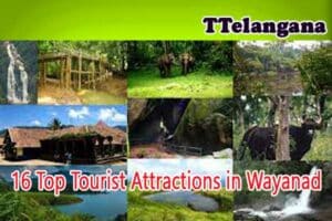 16 Top Tourist Attractions in Wayanad