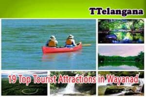 19 Top Tourist Attractions in Wayanad