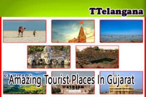 Amazing Tourist Places In Gujarat