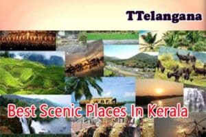 Best Scenic Places In Kerala