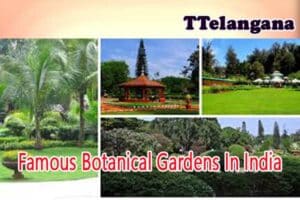 Famous Botanical Gardens In India