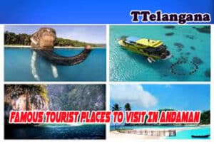 Famous Tourist Places To Visit In Andaman
