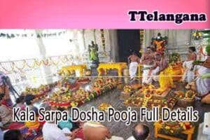 Kala Sarpa Dosha Pooja Full Details