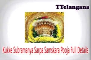 Kukke Subramanya Sarpa Samskara Pooja Full Details