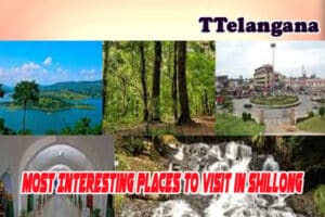 Most Interesting Places to Visit in Shillong