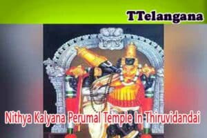 Nithya Kalyana Perumal Temple In Thiruvidandai