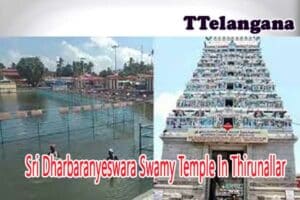Sri Dharbaranyeswara Swamy Temple In Thirunallar 