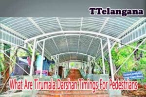 What Are Tirumala Darshan Timings For Pedestrians
