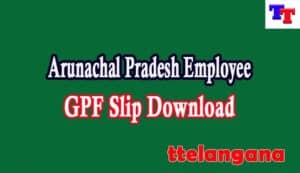 Arunachal Pradesh Employee GPF Slip