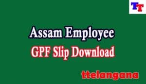 Assam Employee GPF Slip