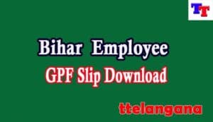 Bihar Employee GPF Slip 