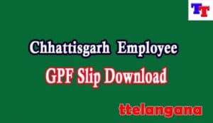 Chhattisgarh Employee GPF Slip
