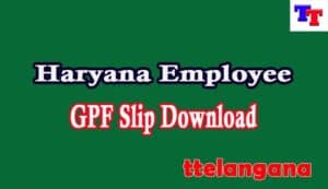 Haryana Employee GPF Slip