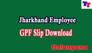 Jharkhand Employee GPF Slip