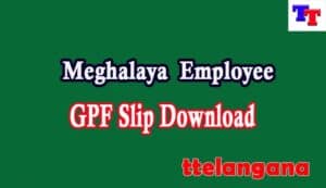 Meghalaya Employee GPF Slip