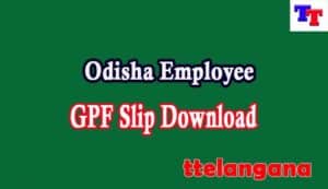 Odisha Employee GPF Slip Download Odisha Employee GPF Slip Download