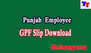 Punjab Employee GPF Slip Download Punjab Employee GPF Slip Download