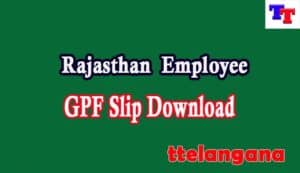 Rajasthan Employee GPF Slip