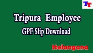 Tripura Employee GPF Slip Tripura Employee GPF Slip 