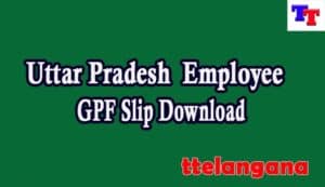Uttar Pradesh Employee GPF Slip