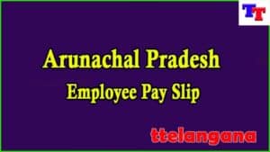 Arunachal Pradesh Employee Pay Slip download Salary Slip 