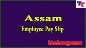 Assam Employee Pay Slip Download Salary slip