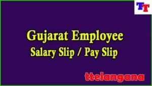 Gujarat Employee Pay Slip 2023 Download Employee Salary Slip Gujarat Employee Pay Slip 2023 Download Employee Salary Slip