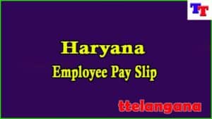 Haryana Employee Salary Slip 2023 Download Employee Salary Slip