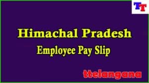 Himachal Pradesh Employee Salary Slip 2023 download Employee Salary Slip