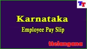 Karnataka Employee Pay Slip Download Employee Salary Slip