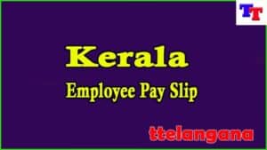 Kerala Employee Pay Slip download Employee Salary Slip