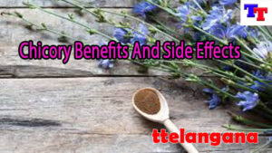 Chicory Benefits And Side Effects