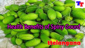 Health Benefits of Spiny Gourd