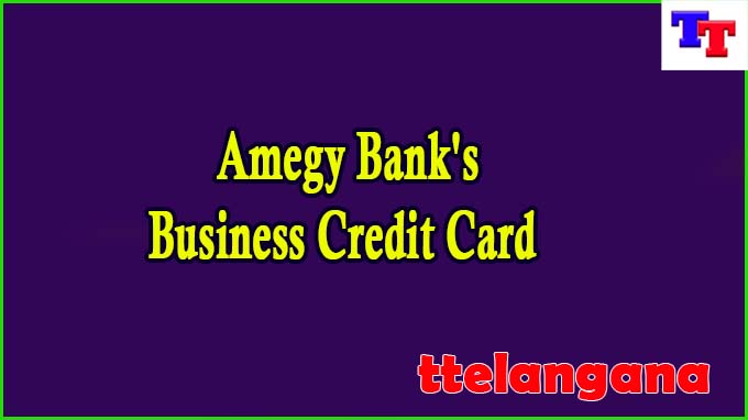 Amegy Bank's Business Credit Card  