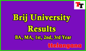 Brij University Result