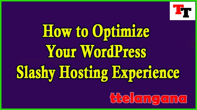 How to Optimize Your WordPress Slashy Hosting Experience