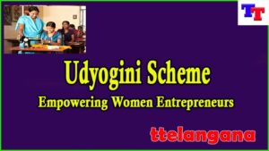 Empowering Women Entrepreneurs: An In-depth Look at the Udyogini Scheme
