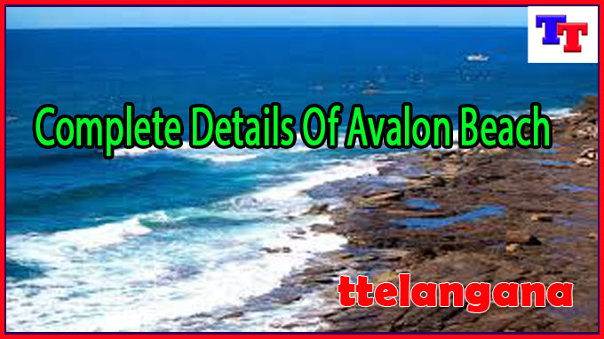 Complete Details Of Avalon Beach