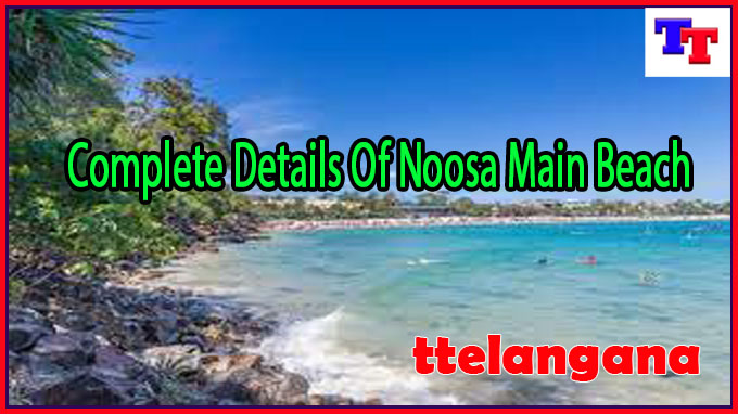 Complete Details Of Noosa Main Beach